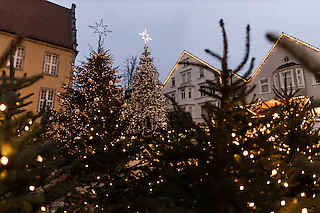„Es weihnachtet sehr!“ Gütersloher Weihnachtsrundgang mit Brunhilde Kohls