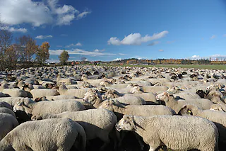 Ortsteil Buggenried