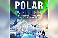 POLARWELTEN | Zeitfensterticket