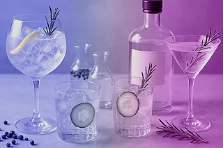 Gin-Tasting „New Spirits“