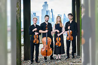 Nah dran: Fibonacci Quartett