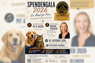 Spendengala 2026 - Tierschutzverein für den Landkreis Dillingen e.V.