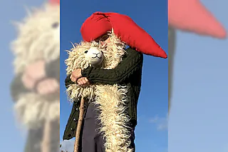 Wenn das Schaf nicht schläft