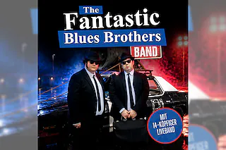The Fantastic Blues Brothers