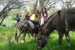 Eselwanderung & Wildkräuterführung