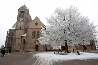 Münsterplatz