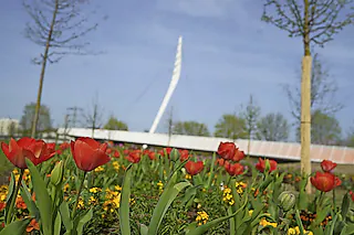 Landesgartenschaugelände