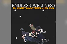 Endless Wellness - Ein Konzert kommt selten allein: Tour