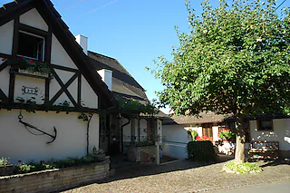 Lingi (Innerdorf Istein)