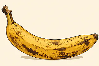 Ausgerechnet Bananen - Premiere