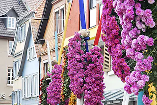 Rossplatz
