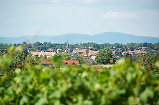 Vögisheim