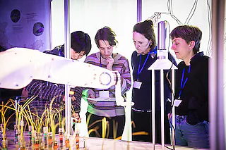 A Seed Story