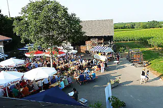 Schambach-Strauße