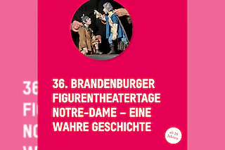 Notre-Dame - Eine wahre Geschichte