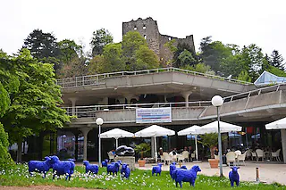 Velo Café & Station