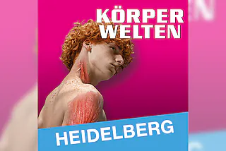 KÖRPERWELTEN | Heidelberg | Tagesticket