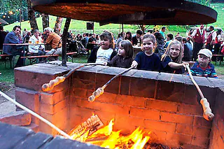 Prinschbachhütte (Dörlinbach)