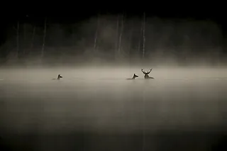 Eröffnung der 32. dokumentART - Europäisches Filmfestival 2026