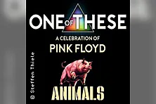 One Of These - A Celebration of Pink Floyd: Animals-Tour