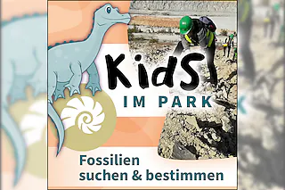 Kids im Park: Fossilien suchen & bestimmen