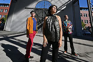 Ania Paz Trio - Inspiring Energy Live