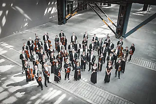 Göttinger Symphonie Orchester