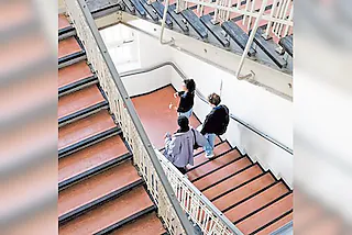Guided Tours