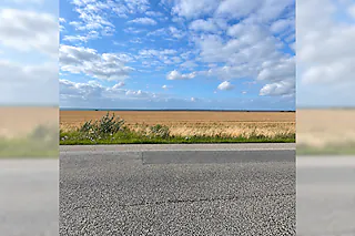 Road Movies