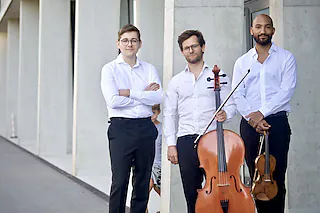 Steiner Trio