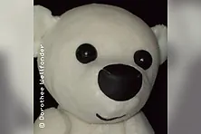 Der kleine Eisbär Lars