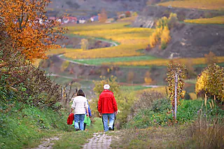 Vogtsburg-Touristik (Oberrotweil)