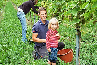 betberg weingut rieger [sigrid umiger]