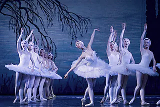 Schwanensee Ballett
