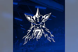 VfL SparkassenStars Bochum vs. Artland Dragons
