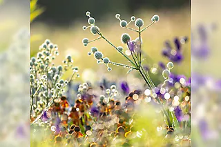 Der Foto-Workshop im Oktober