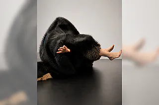 Im Fell - Relaxed Performance