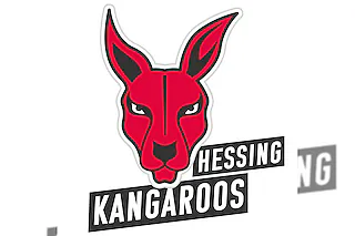 Bayer Giants Leverkusen - BG Hessing Leitershofen