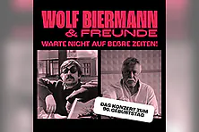 Wolf Biermann & Freunde - Warte nicht auf beßre Zeiten!