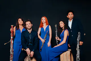 Internationale Schlosskonzerte: Dianto Reed Quintett