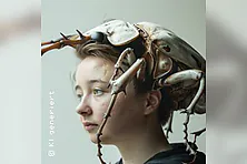 Die Verwandlung
