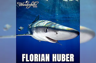 WUNDERFALKE: Haie, Wracks und Wasserdrachen - LIVE