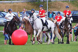 Sportplatz Weizen
