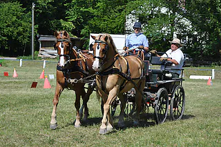 Hürsterhof (Ichenheim)