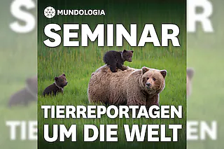 MUNDOLOGIA-Seminar: Für Tierreportagen um die Welt