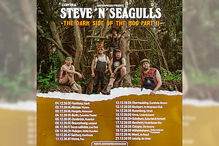 STEVE 'N' SEAGULLS - THE DARK SIDE OF THE MOO PART II