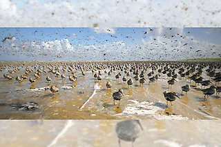 Im Licht der Sandbank