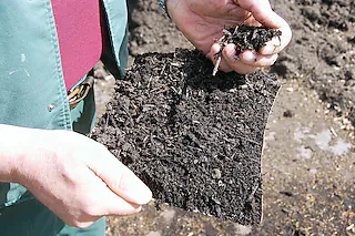 Kompostieranlage Minseln