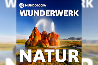 MUNDOLOGIA: Wunderwerk Natur
