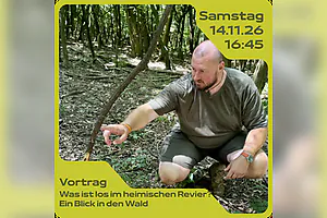 Vortrag: „Was ist los im heimischen Revier? Ein Blick in den Wald“